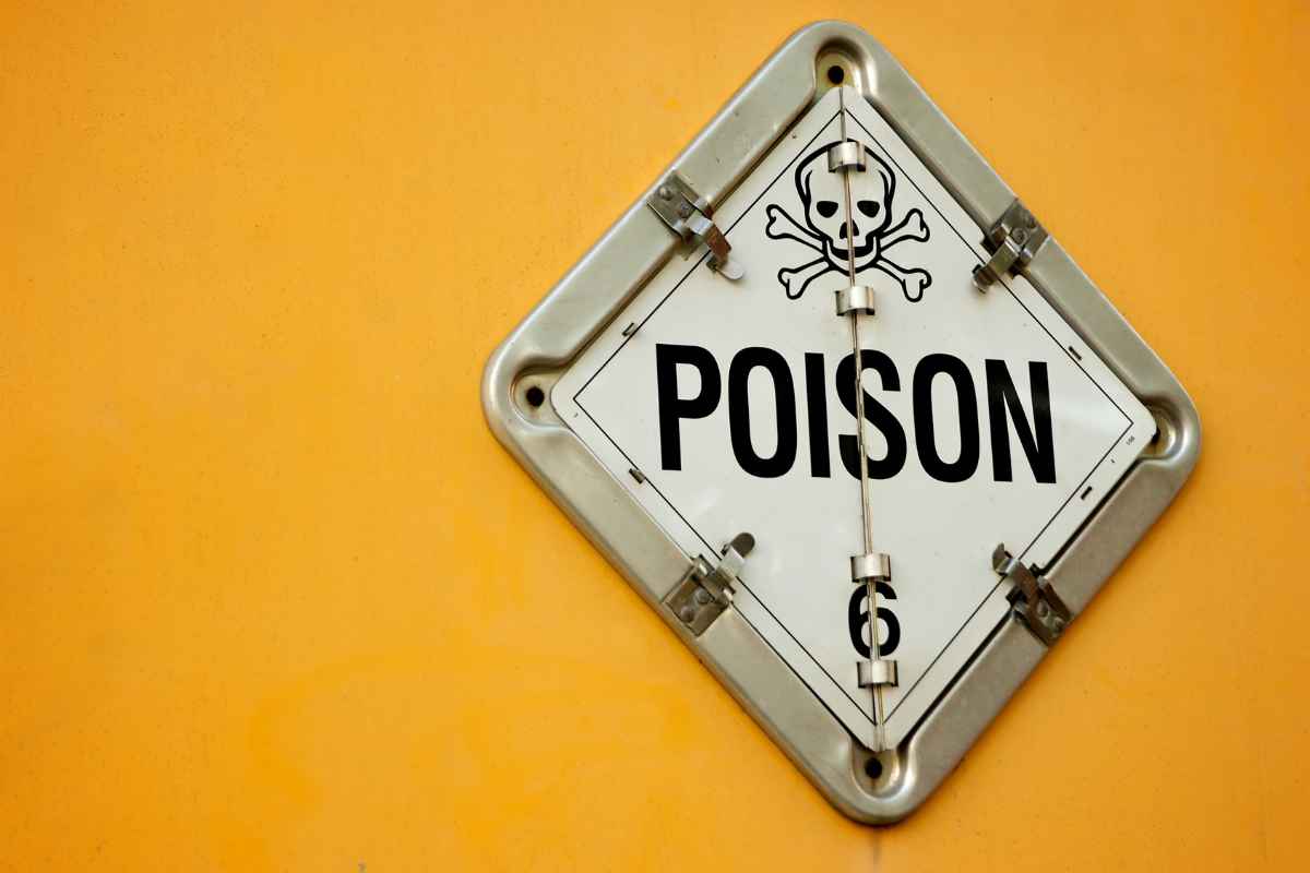 rat poison effects
